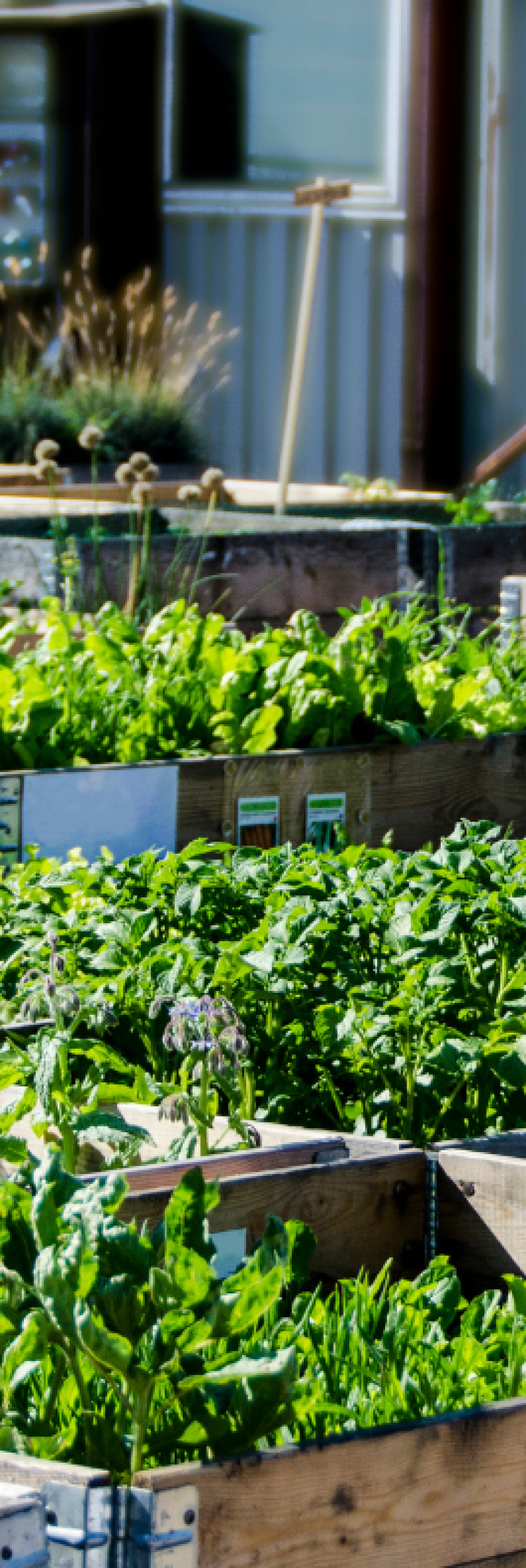 Urban Agriculture Lab
